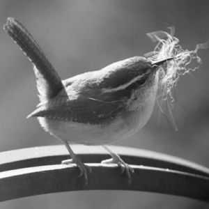 Meet your Posher, Janine